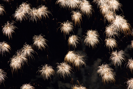 Delicate tassel like firework patterns in the night skyの写真素材