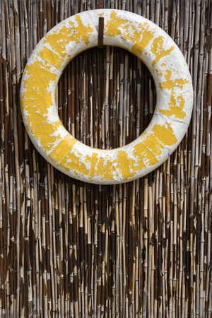 bamboo and old lifebuoyの写真素材