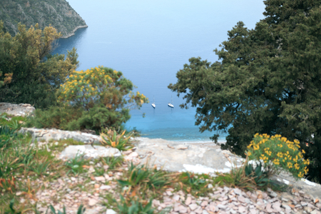 big bay in the sea, top view