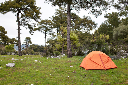 orange tent in the forestの写真素材