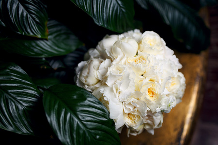 a large bouquet of white roses, textureの写真素材