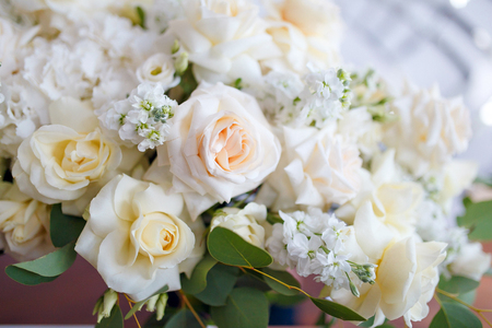 a large bouquet of white roses, textureの写真素材