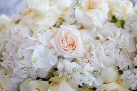 a large bouquet of white roses, textureの写真素材