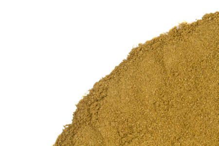 Coriander powder with coriander seeds.の写真素材