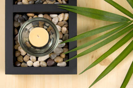 Scented Candle with Rocks and Green Plantの写真素材