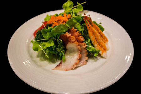 Sashimi Saladの素材