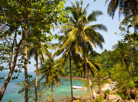 sea and coconut tree and the boat with blue sky on the isalndの写真素材