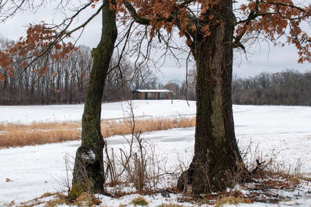 Shelter in the woods in the winter.の写真素材