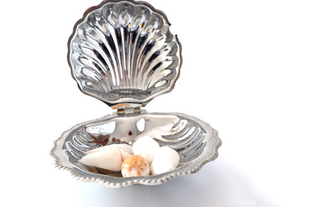 small white shells in a large shell on a white backgroundの写真素材