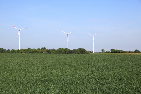 some windmills in the nature with blue sky