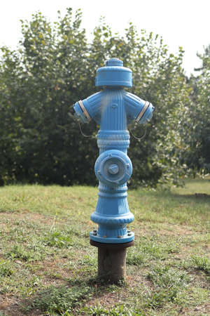 blue hydrant on a field in natureの写真素材