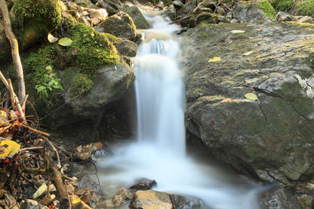 a beautiful small waterfall in nature at autumn