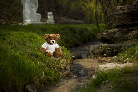 Soft toy in the middle of natureの写真素材