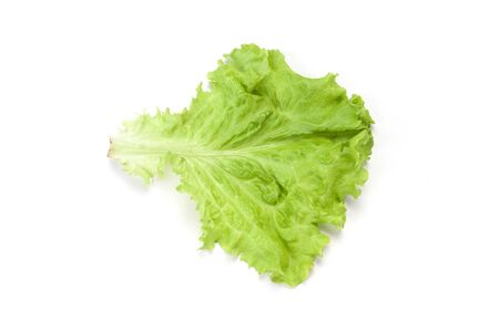 Green salad leaf isolated on white backgroundの写真素材
