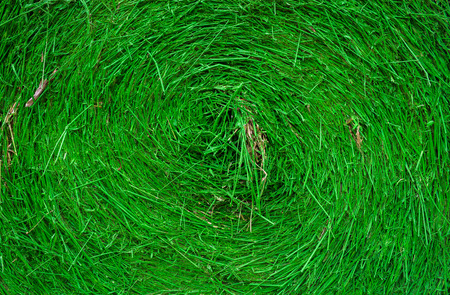 Straw green background
Was painted greenの写真素材