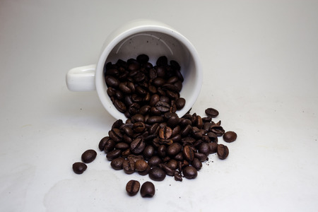 White background coffee beansの写真素材