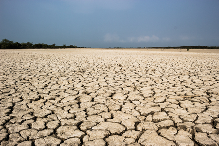 Ground caused by water shortages.の写真素材