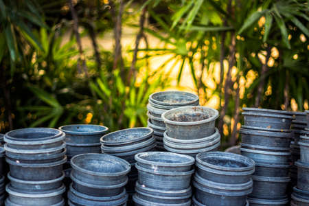 Potted plants and cultivationの写真素材