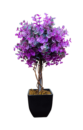 Purple fake flowersの写真素材