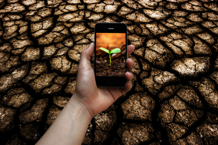 Ground drought on hand hold phone tree.の写真素材