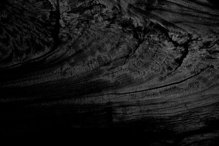 Surface cracks of woodの写真素材