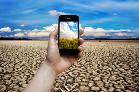 Ground drought on hand hold phone meadow.の写真素材