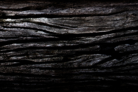 Black wood texture background.の写真素材