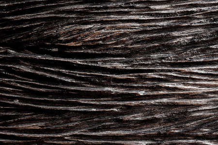 Wood texture background. Wood closeup.の写真素材