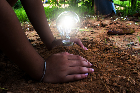 Power of nature, Power lamp.の写真素材