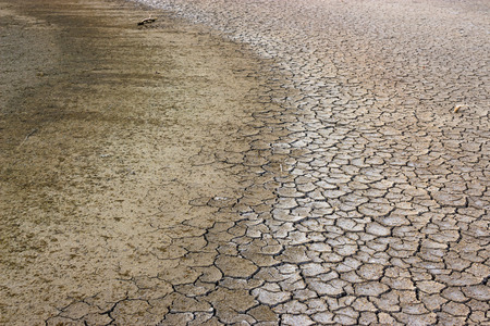 Crack ground mud drought background.の写真素材