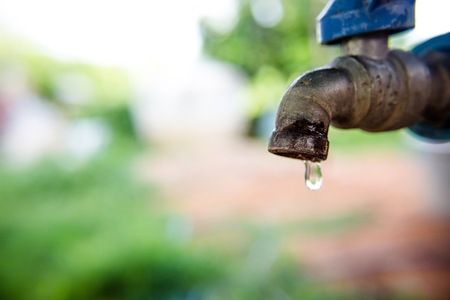 Drop, To appreciate the value of water.の写真素材