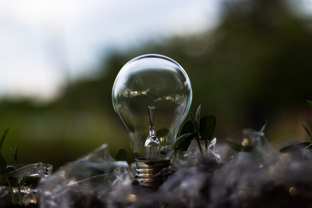 The power of nature.の写真素材