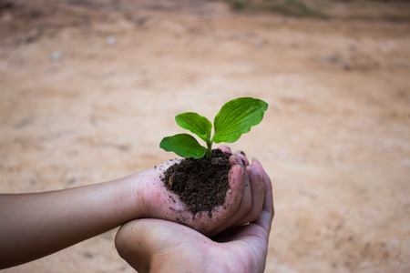 Together reforestation.の写真素材