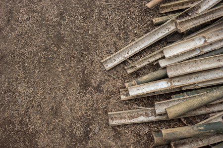 Bamboo background.の写真素材