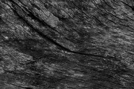 Old black wood texture background.の写真素材