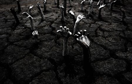Drought areas of the dead.の写真素材