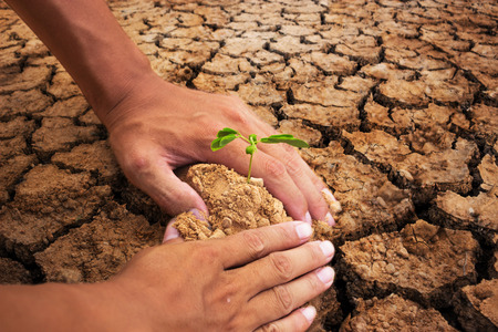 Heart inextricably person and forest.Planting trees to reduce global warming.の写真素材