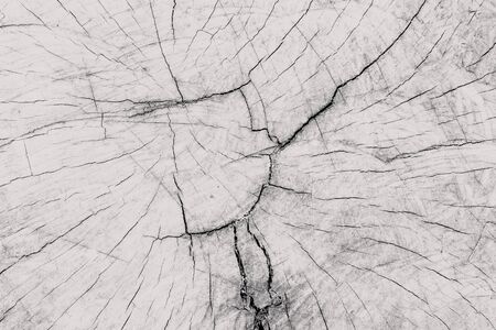 Crack wood line background.の写真素材