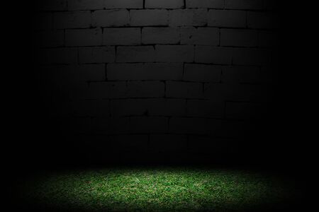 White brick wall on surface grass background.の写真素材