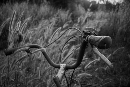 Vintage bicycle and nature closeup background.の写真素材