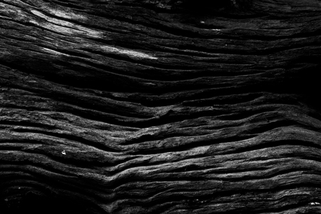 Wood textured background.の写真素材