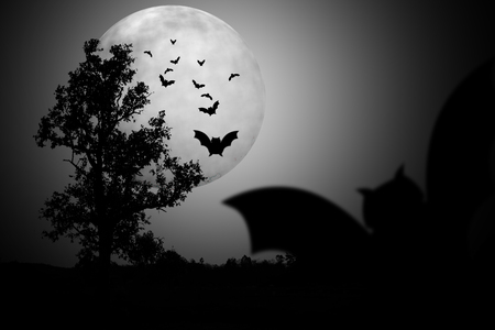 Trees in bat scary night shadow.の写真素材