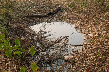 Dry water drought.