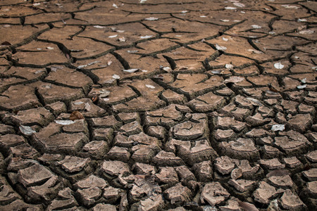 Crack ground texture background.の写真素材