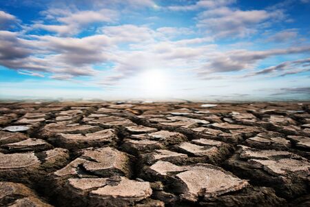 Dry ground texture background, Drought.の写真素材