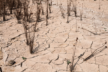 Crack dry ground drought texture background.の写真素材