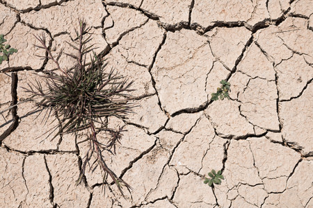 Crack dry ground drought texture background.の写真素材