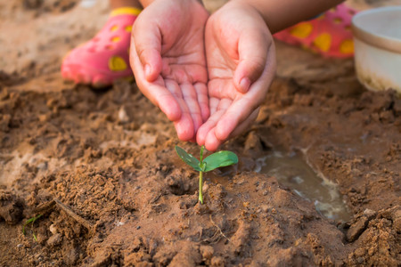 Children planting forests to reduce global warming, Concept afforest.の写真素材