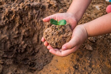Children planting forests to reduce global warming, Concept afforest.の写真素材