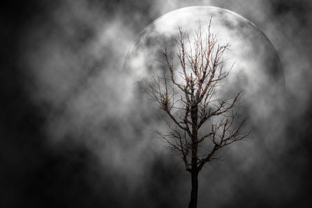 Moon white in the night scary background.の写真素材